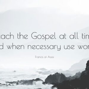 TOP 20 Francis of Assisi Quotes