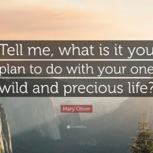 TOP 20 Mary Oliver Quotes