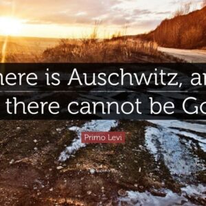 TOP 20 Primo Levi Quotes