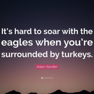 TOP 20 Adam Sandler Quotes