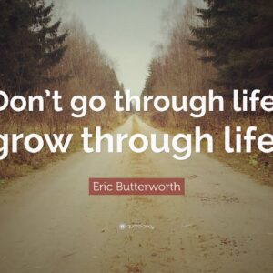 TOP 20 Eric Butterworth Quotes
