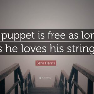 TOP 20 Sam Harris Quotes