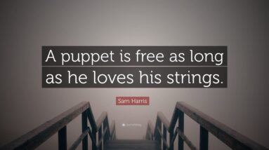 TOP 20 Sam Harris Quotes